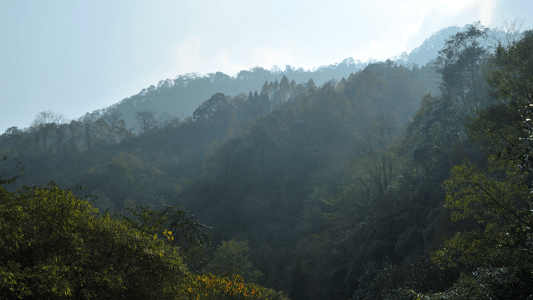 Mount Qingcheng